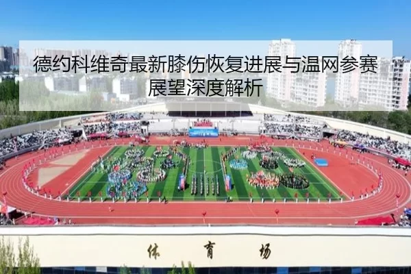 德约科维奇最新膝伤恢复进展与温网参赛展望深度解析