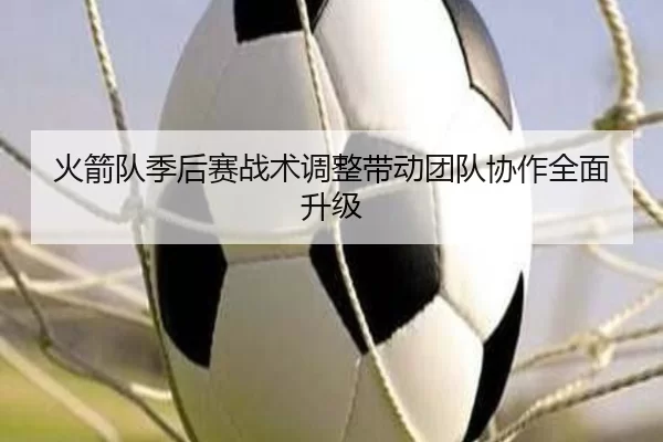 img_1780592405545_741_2_965.jpg
