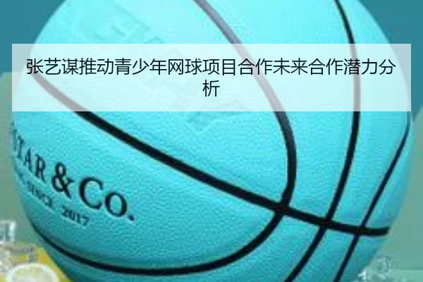 张艺谋推动青少年网球项目合作未来合作潜力分析